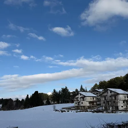 La Rosa Della Sila *