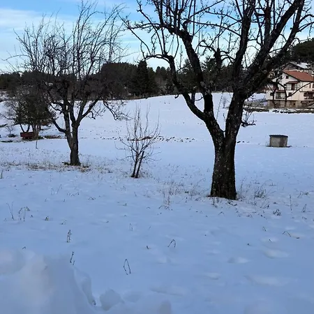 Apartament La Rosa Della Sila *